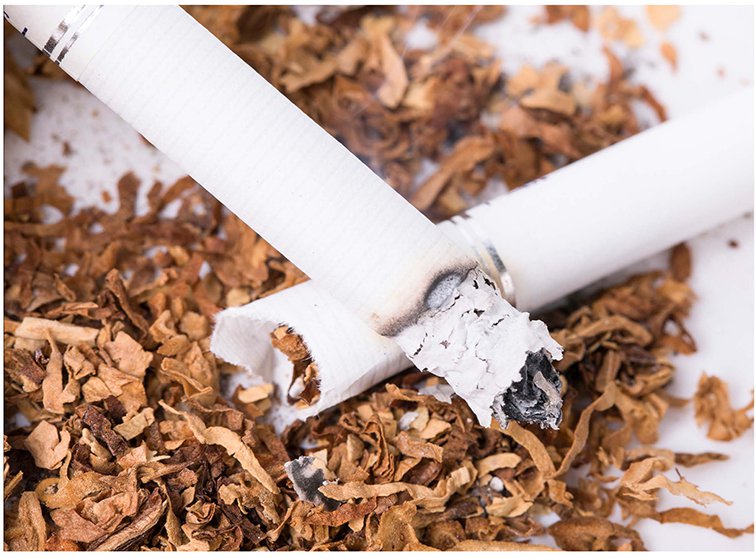 MS2Vertical9100 液相質(zhì)譜聯(lián)用系統(tǒng)測定煙草特有N-亞硝胺解決方案